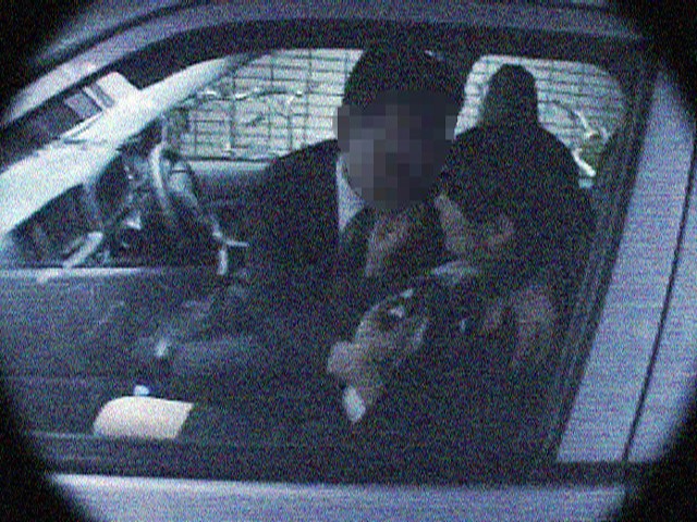 サンプル画像 11