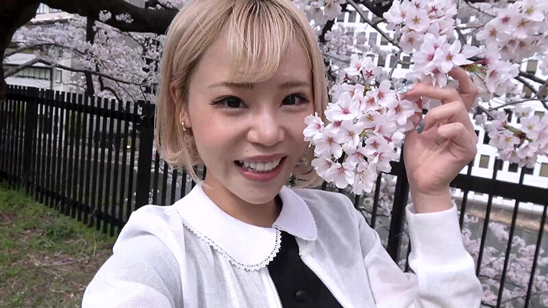 サンプル画像 8