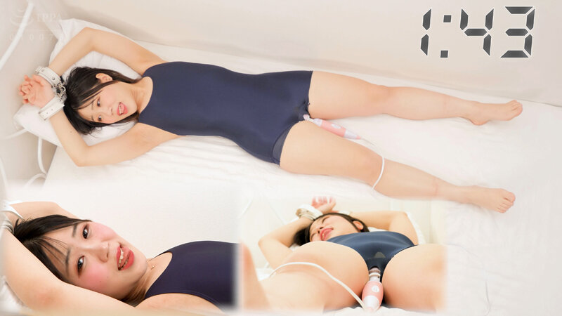 サンプル画像 8