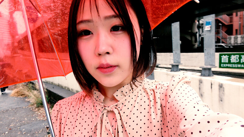 サンプル画像 6