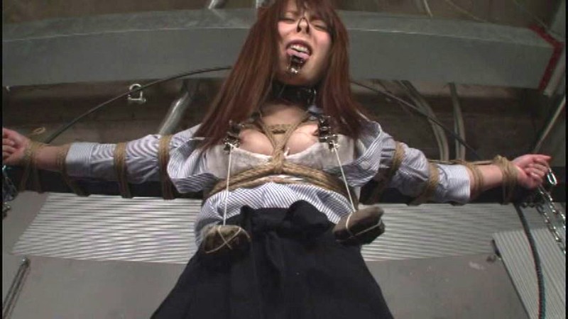 サンプル画像 5