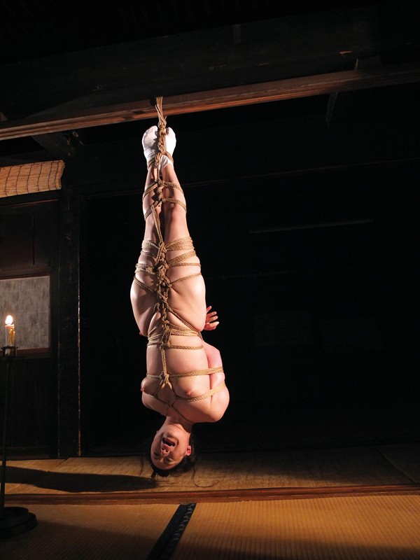 サンプル画像 7