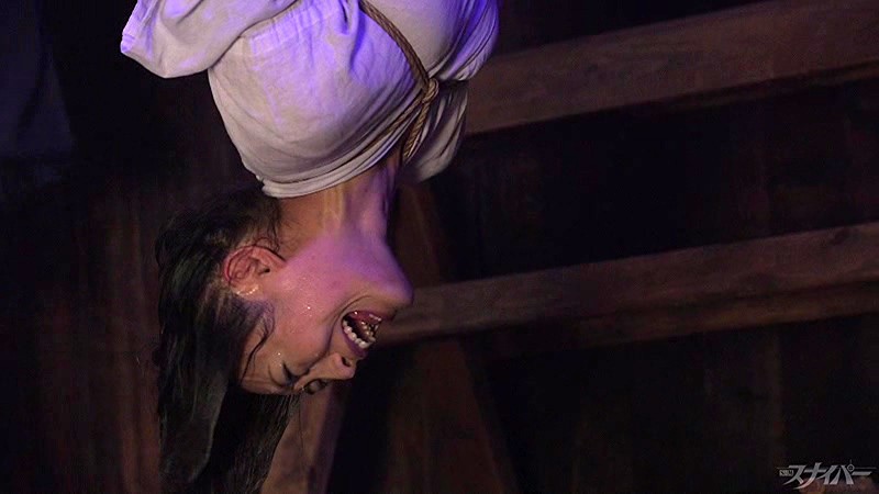 サンプル画像 5