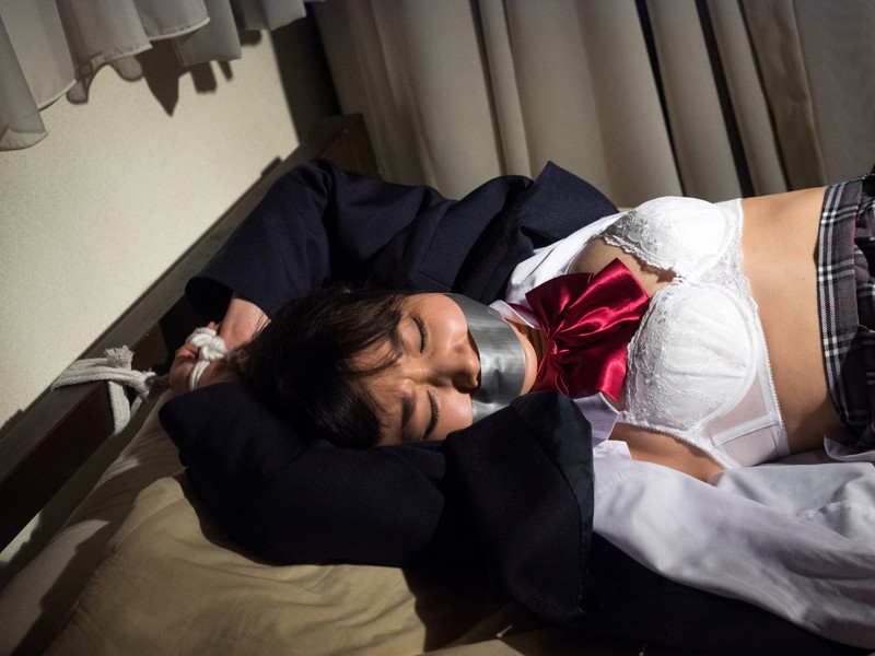 サンプル画像 13