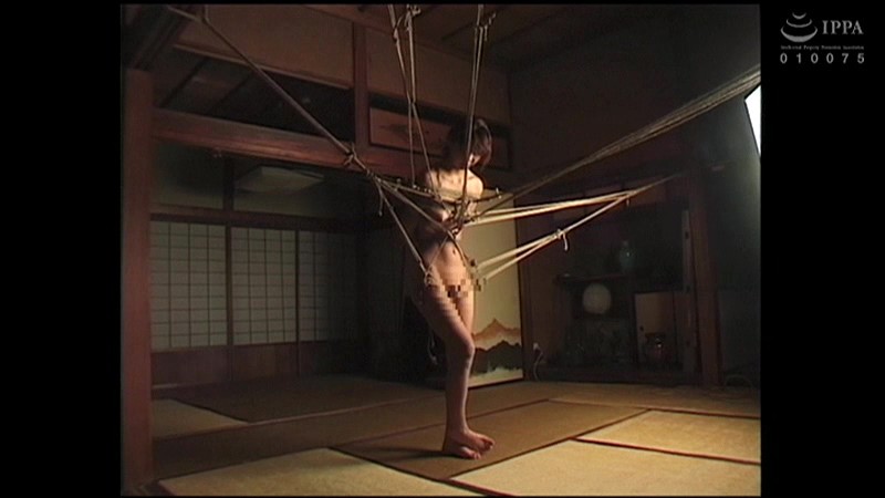 サンプル画像 10