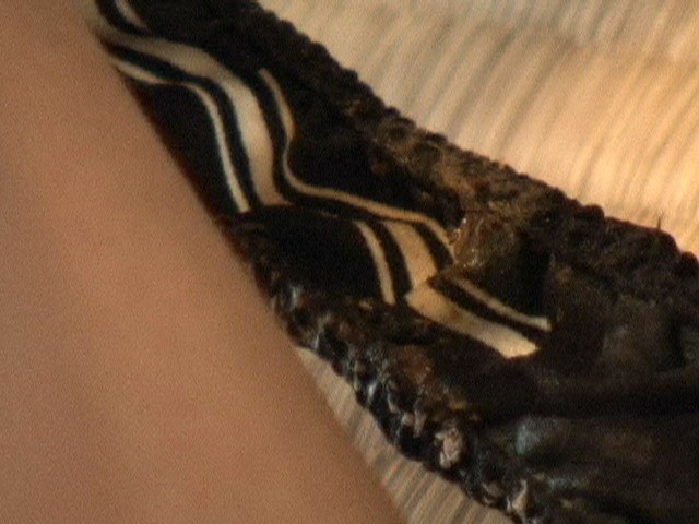 サンプル画像 4