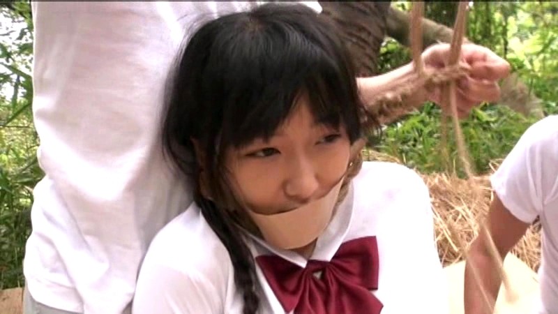 サンプル画像 6