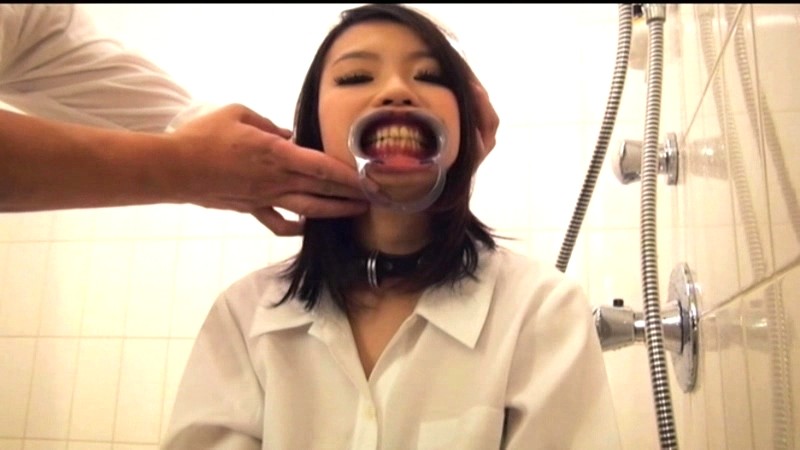 サンプル画像 12