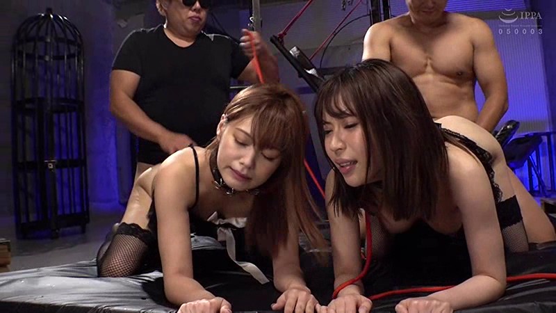 サンプル画像 20