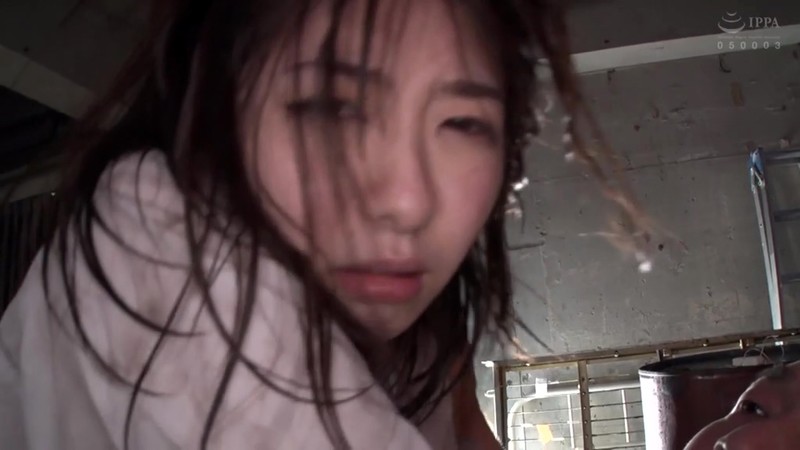 サンプル画像 19