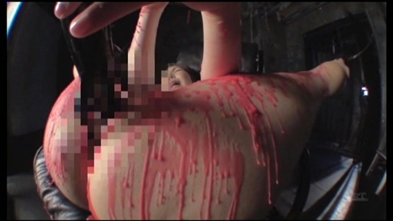 サンプル画像 3