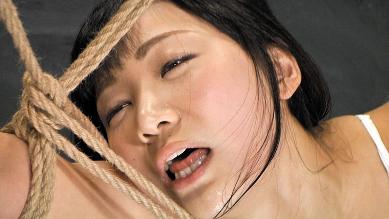 サンプル画像 8