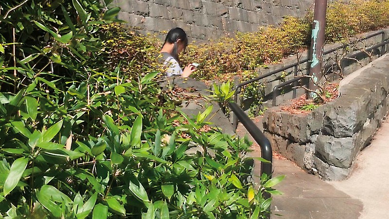 サンプル画像 2