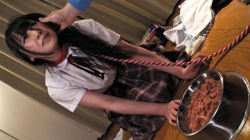 サンプル画像 5