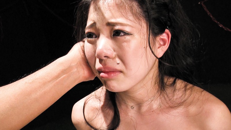 サンプル画像 6