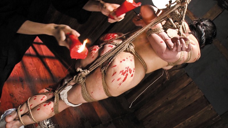 サンプル画像 14