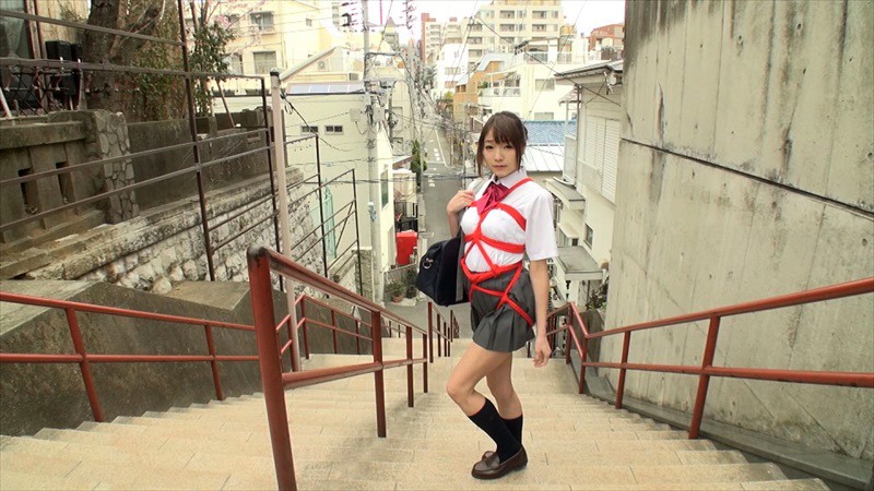 サンプル画像 9