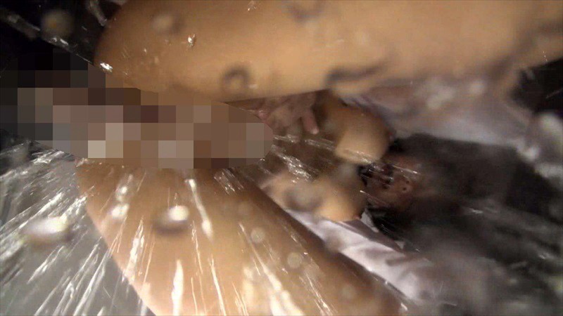 サンプル画像 13