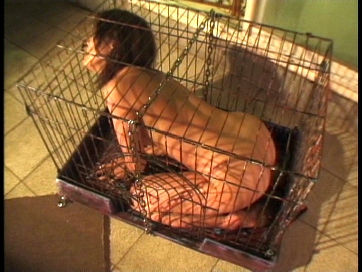 サンプル画像 16