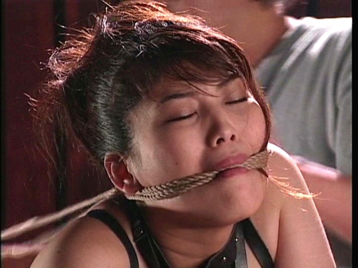 サンプル画像 13