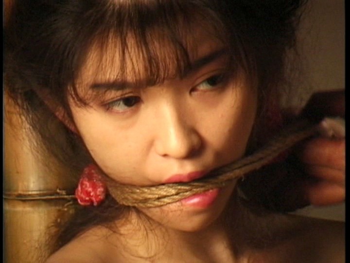 サンプル画像 19