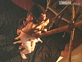 サンプル画像 32