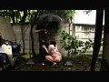 サンプル画像 4