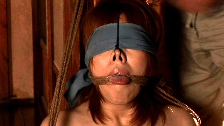 サンプル画像 15