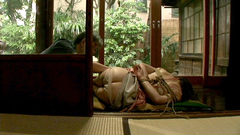 サンプル画像 3