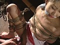 サンプル画像 35