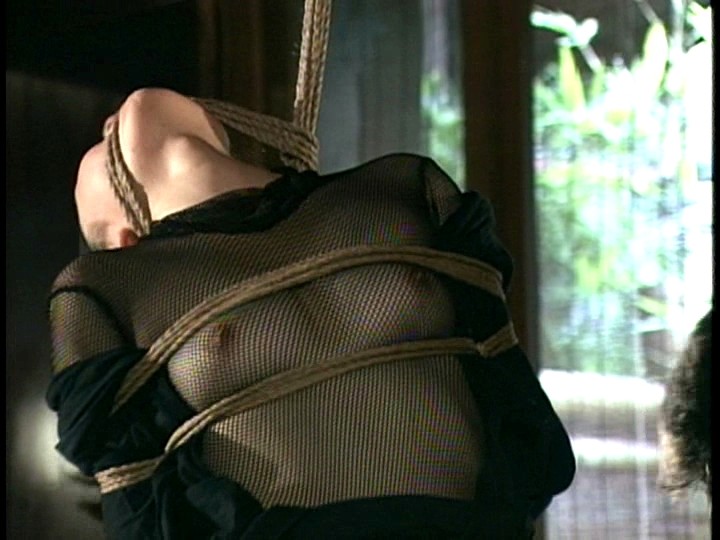 サンプル画像 8