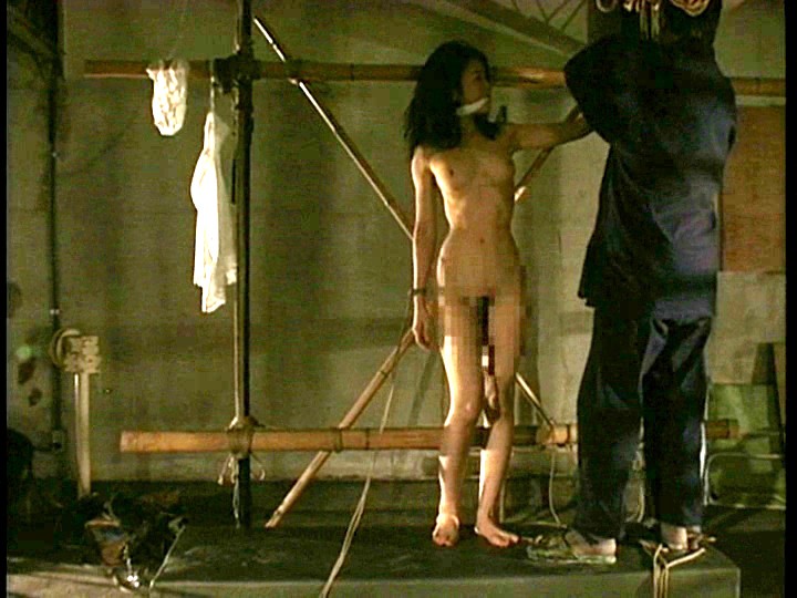 サンプル画像 11