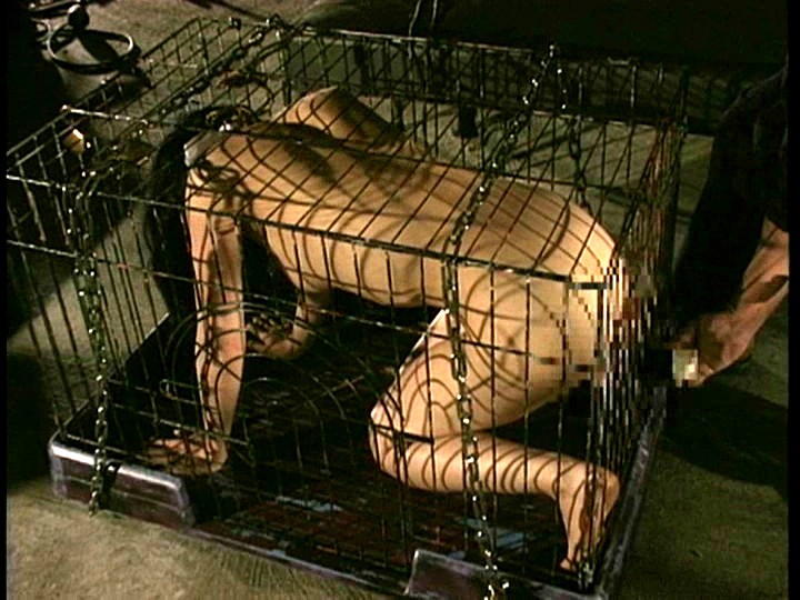 サンプル画像 9