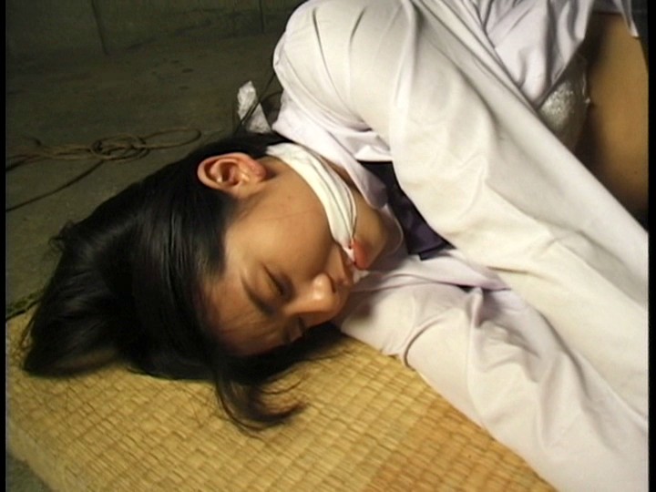 サンプル画像 8