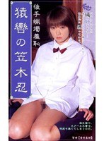 サムネイル画像