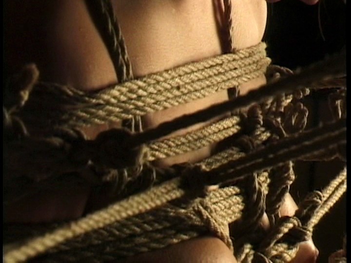 サンプル画像 19