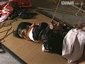 サンプル画像 15