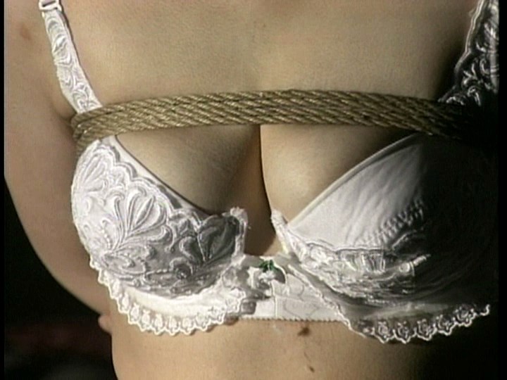 サンプル画像 8