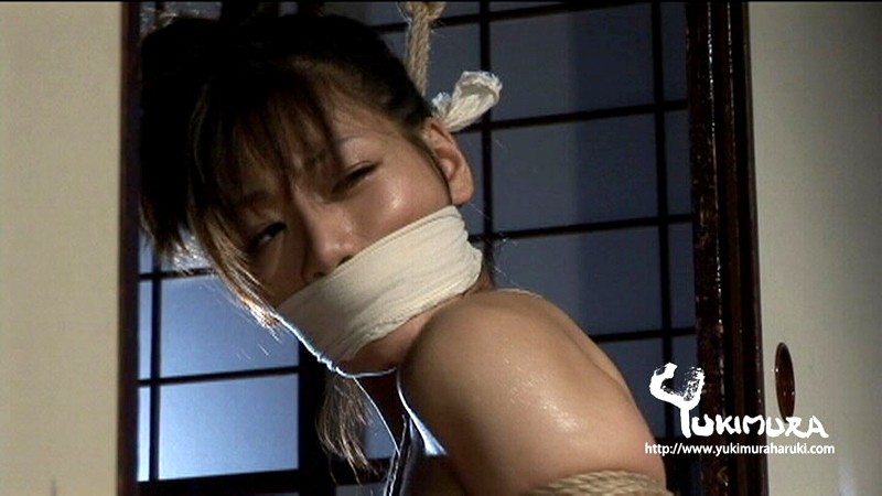 サンプル画像 20