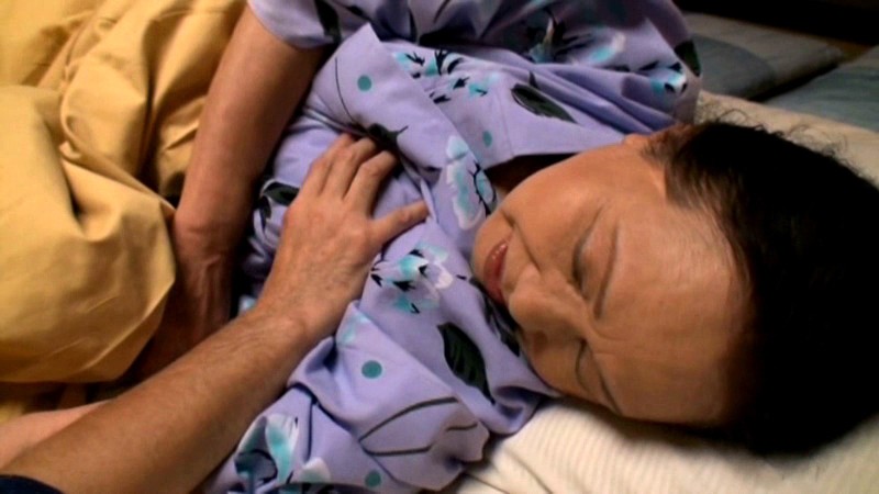 サンプル画像 16