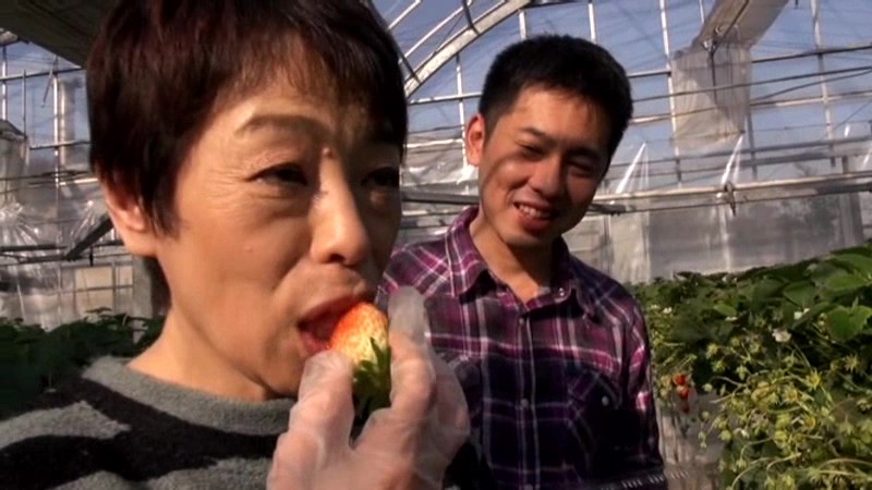 サンプル画像 2