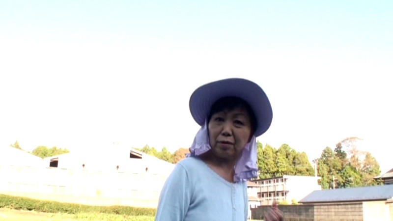 サンプル画像 17