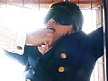 サンプル画像 13