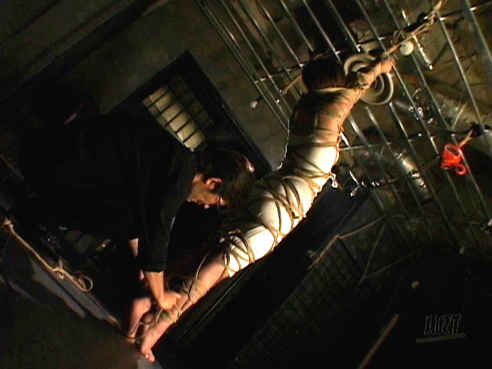 サンプル画像 13