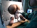 サンプル画像 16