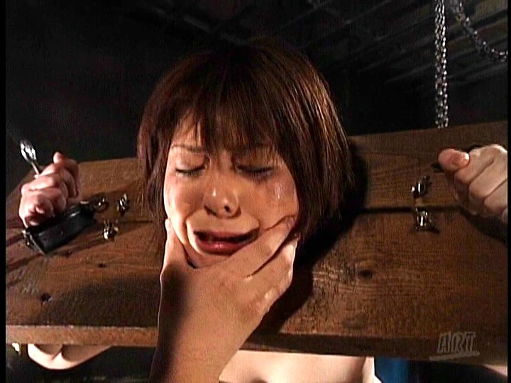 サンプル画像 11