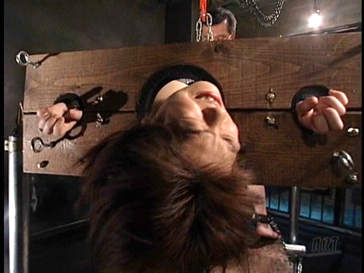 サンプル画像 16