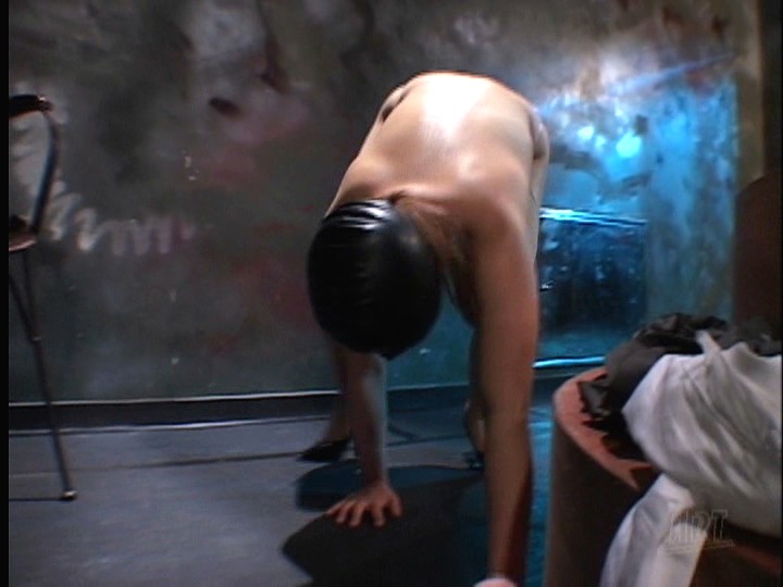 サンプル画像 5