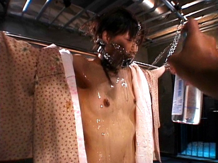 サンプル画像 11