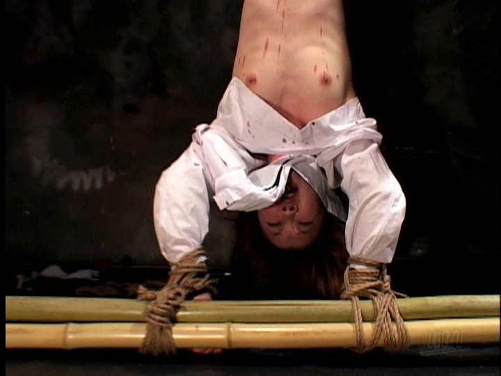 サンプル画像 20